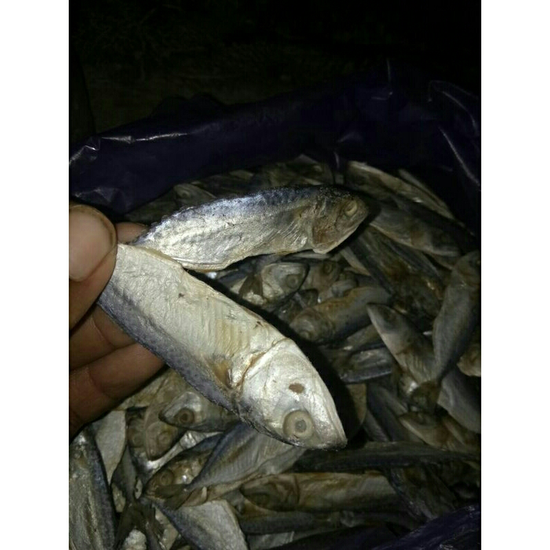 

ikan asin tanjan