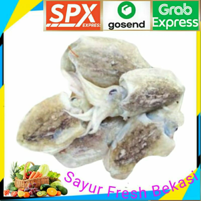 

Cumi Sotong Segar 500g.