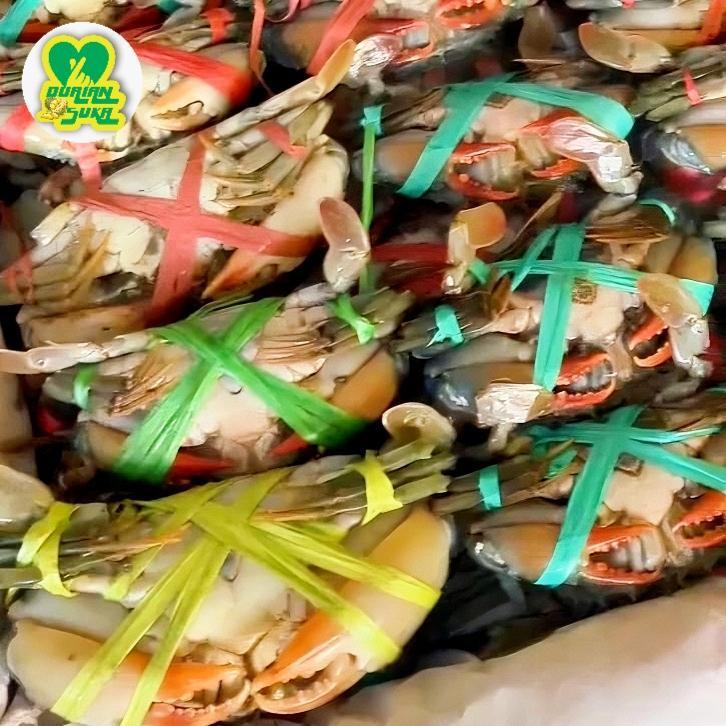 

Kepiting Bakau/Kepiting Rajungan/Baby Crab (Fresh Frozen 1KG)