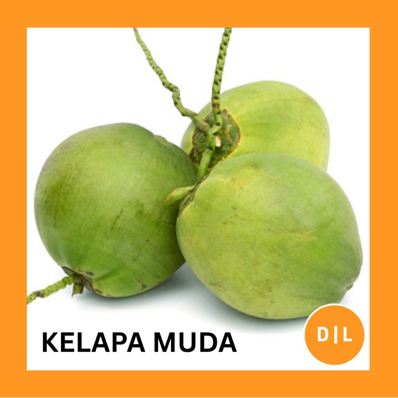 

KELAPA MUDA MAKASSAR MURAH