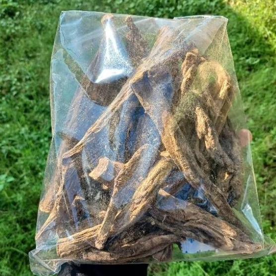 Klembak / Akar Klembak / Klembak Menyan / Klembak Kering / Akar Klembak Kering / Kelembak