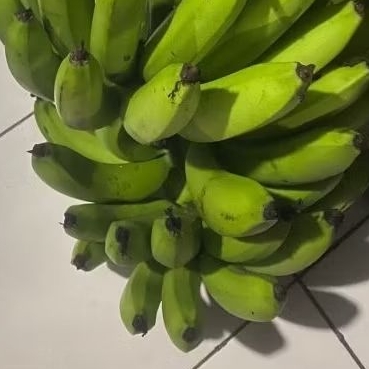 

Buah Pisang Mentah PPR Buflat Pisang Bangkaulu