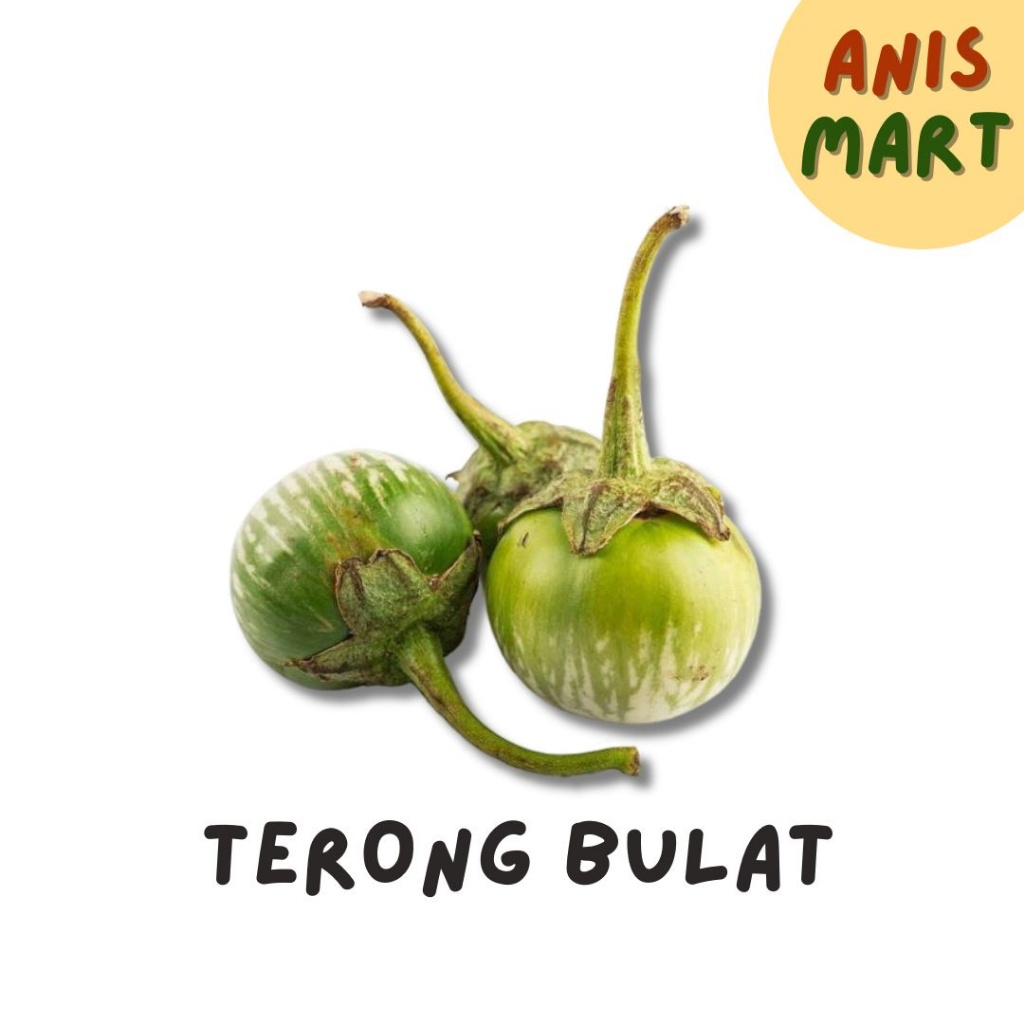 

KIRIM INSTAN Terong Bulat / Terong Lalap 250gr