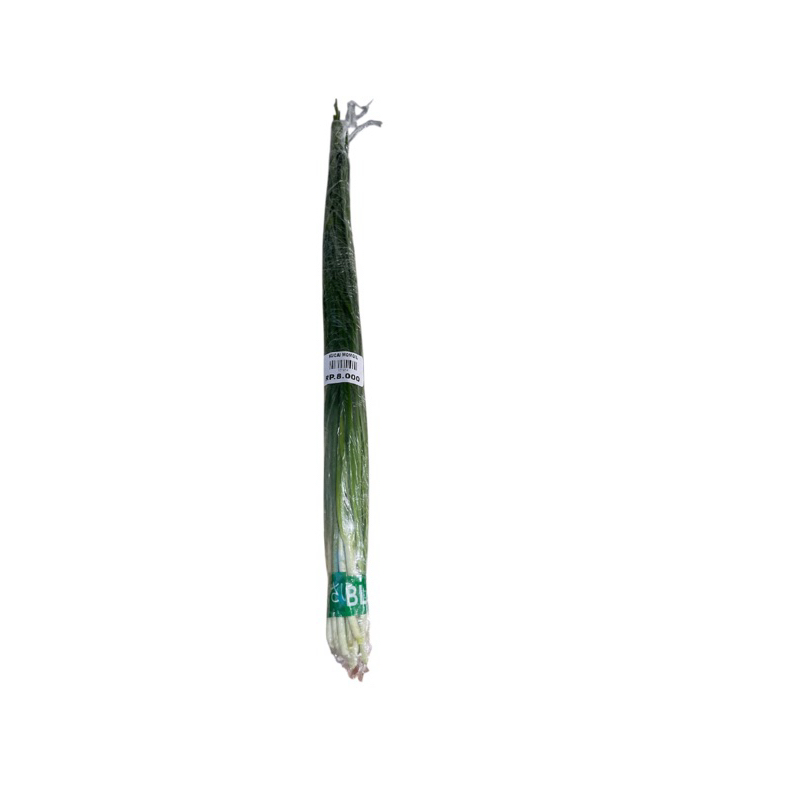 

DAUN KUCAI | SAYURAN