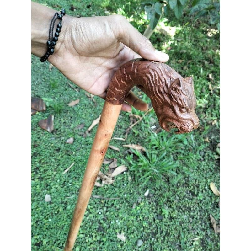 tongkat jalan kayu galih stigi laut super