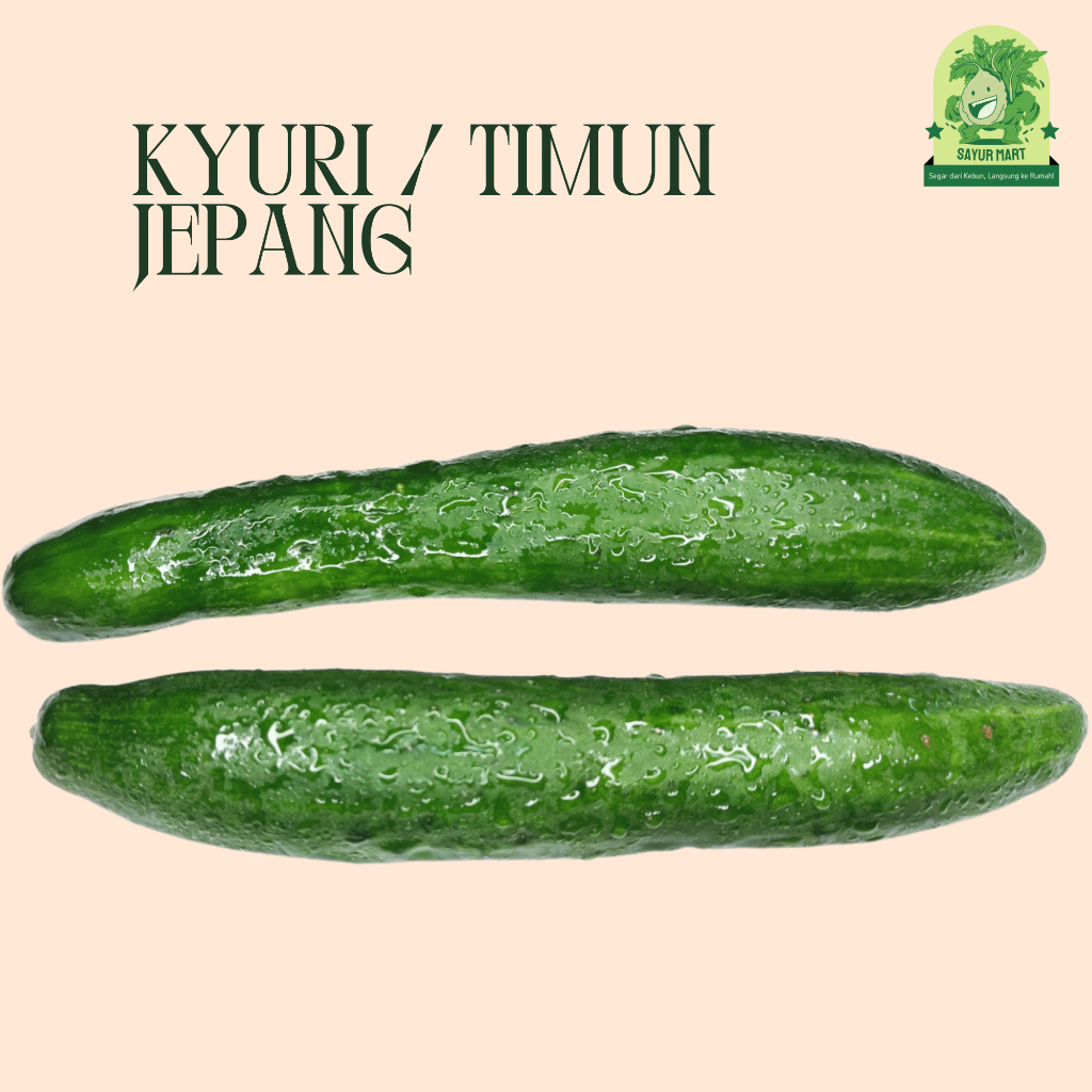 

Kyuri / Timun Jepang 500 Gram