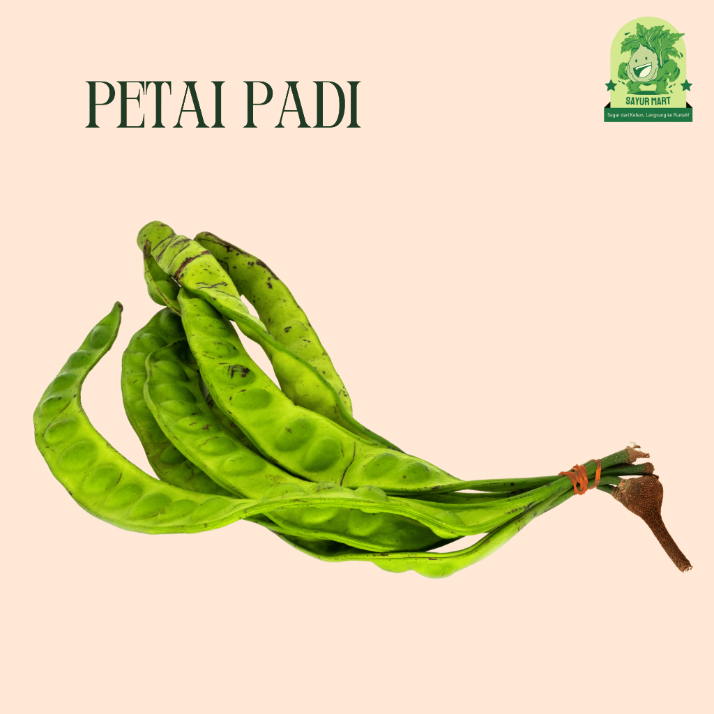 

Petai Padi Per Pack