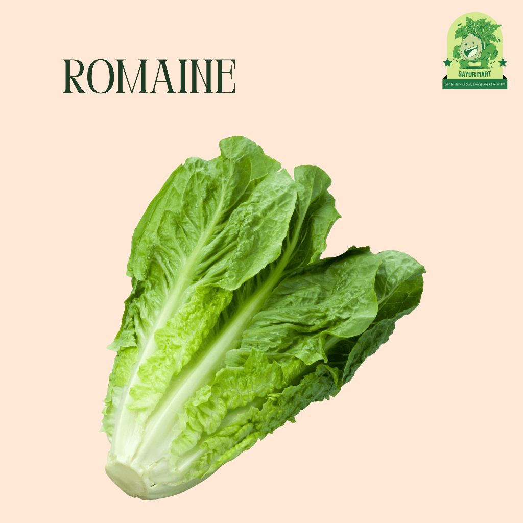 

Romaine 1 Kilogram
