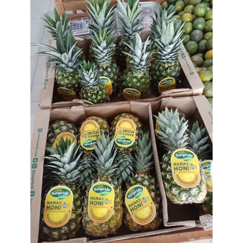 

Nenas Honi // Nanas Honi Sunpride Manis & Fresh -+1,3kg