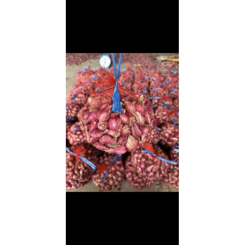 

Bawang Merah Asli Brebes Kering Murah Kualitas Tidak Murahan Kemasan 10Kg