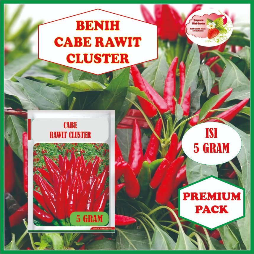 BENIH CABE RAWIT CLUSTER ISI 5 GRAM