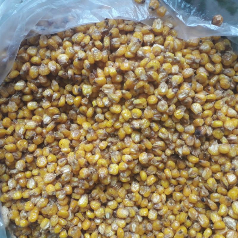 

MARNENG JAGUNG GURIH DAN RENYAH/ MARNENG GURIH RENYAH MURAH / MARNENG RENYAH 500 GRAM