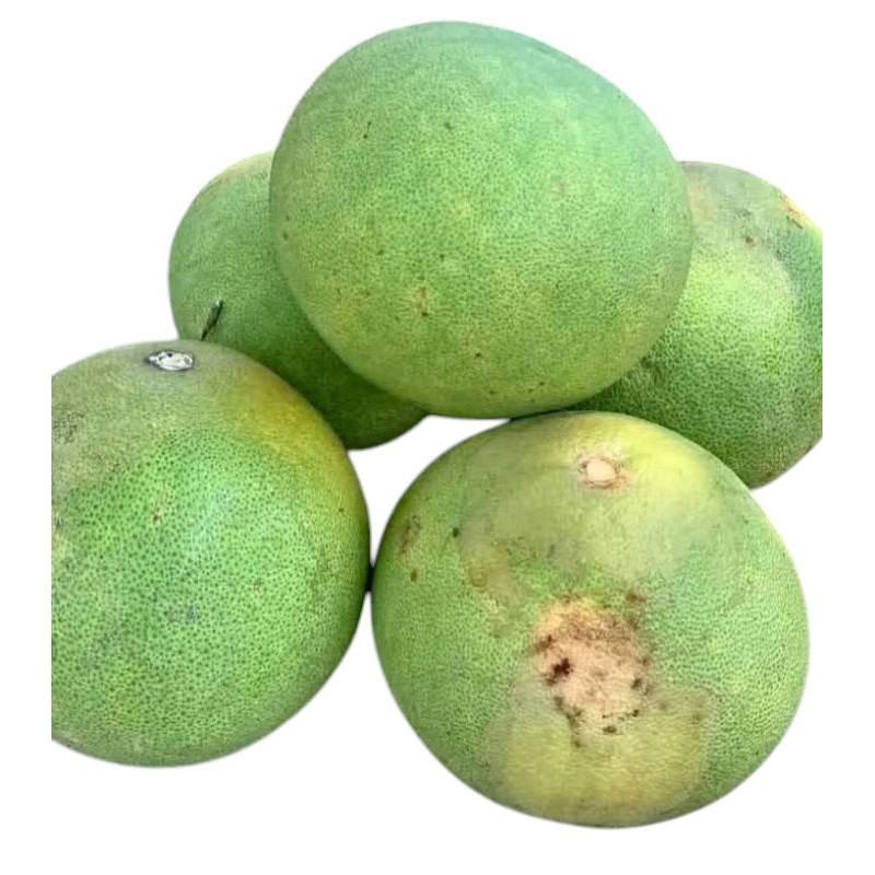 

jeruk Bali 1buah