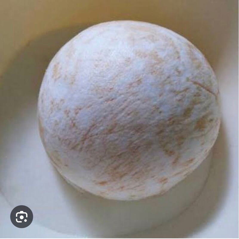 

1 butir kelapa urap / kelapa setengah muda / kelapa botok size A (super)