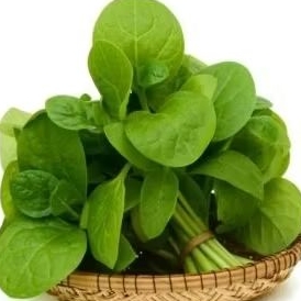 

Sayuran bayam fresh segar//1ikat