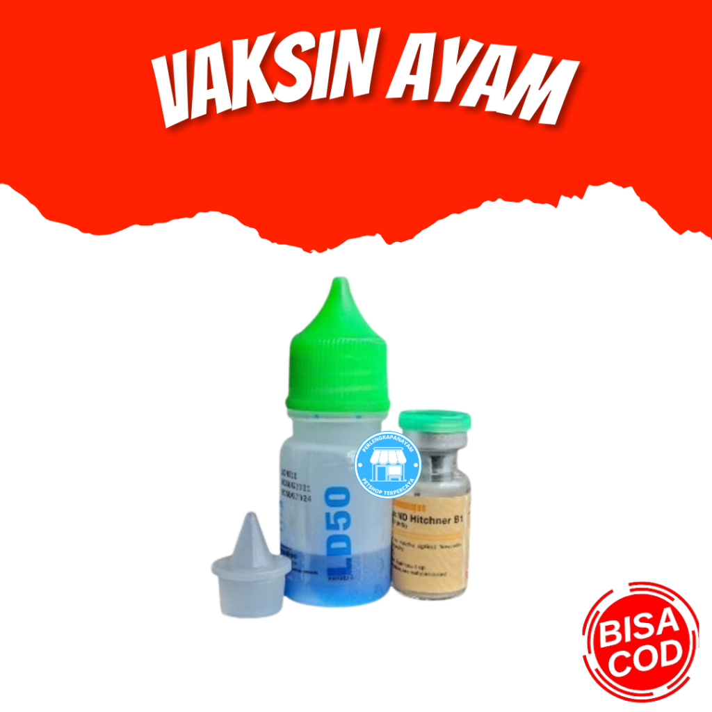 Vaksin ND Hitchner B1 Obat Vaksin Ayam, Vaksin Ayam ND