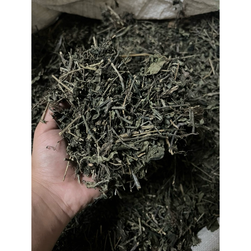 

Sambiloto Kering berat 1kg / Sambiroto Kering Jamu Pahitan