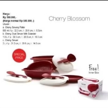 Cherry Blossom Tupperware