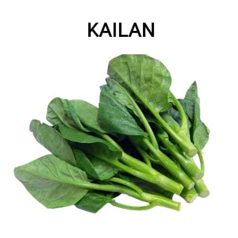 

Sayur Kailan Segar Organik