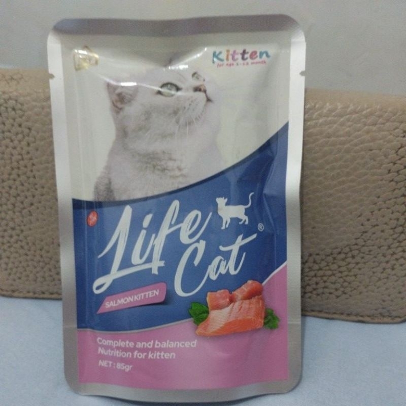 LIFE CAT SALMON KITTEN