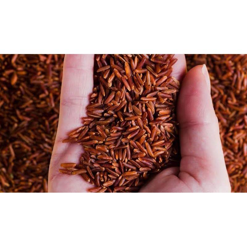 

Beras Merah Organik Bebas Bahan Kimia dan Kaya Serat