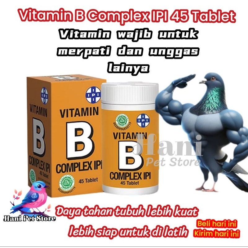 Vitamin B Complex untuk Burung Merpati Unggas Kucing Anjing