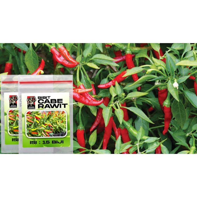 

Biji cabe merah super isi 15 biji