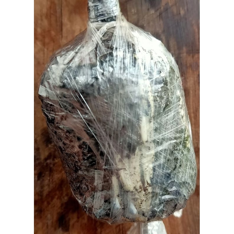 media cangkok super dgn perangsang akar 1kg