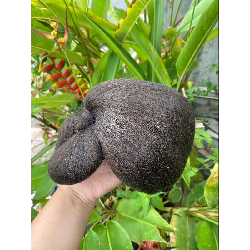 Sanggul bali klasik/ Sanggul bali PREMIUM