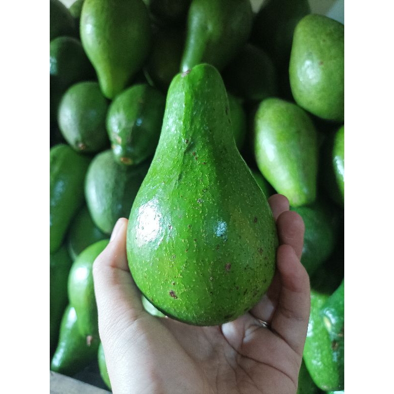 

Alpukat Mentega Mampo Matang 1kg