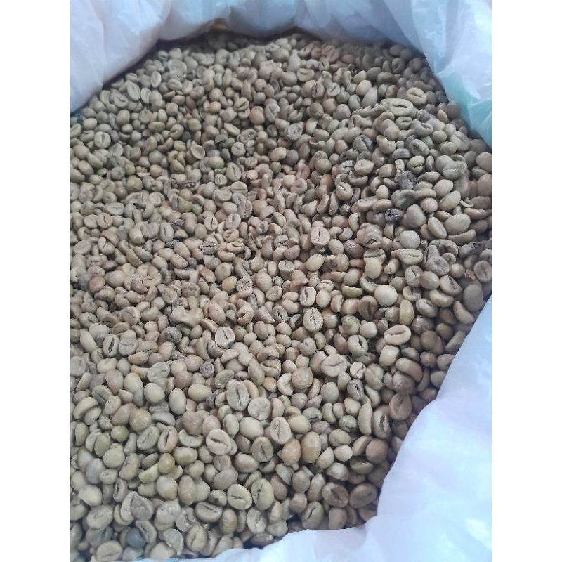 

GREENBEAN ROBUSTA ASLI DAMPIT ASALAN 1KG