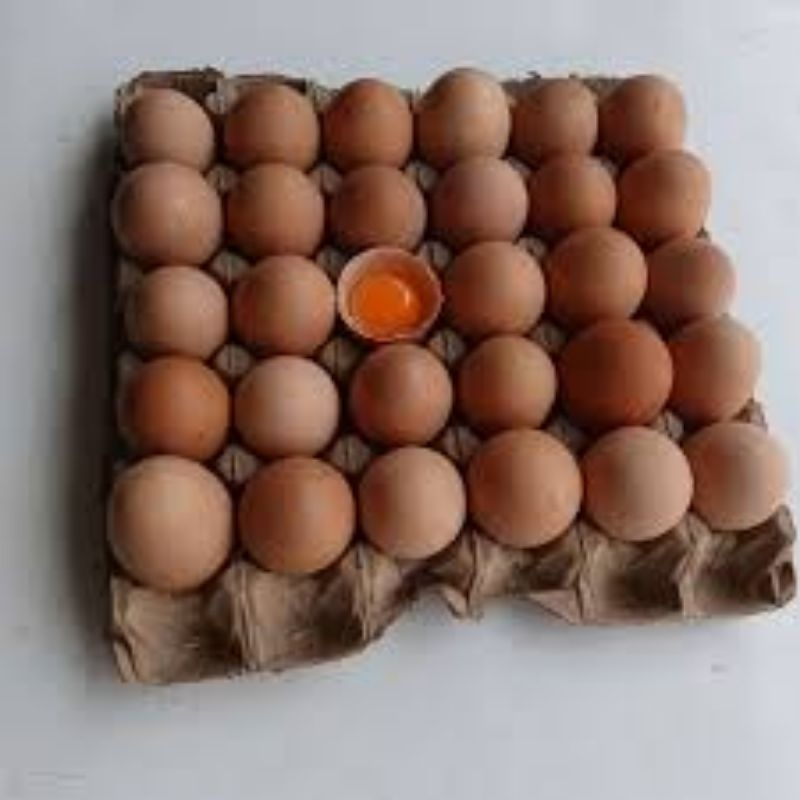 

Telur Ayam Omega Isi 10 Per Pack