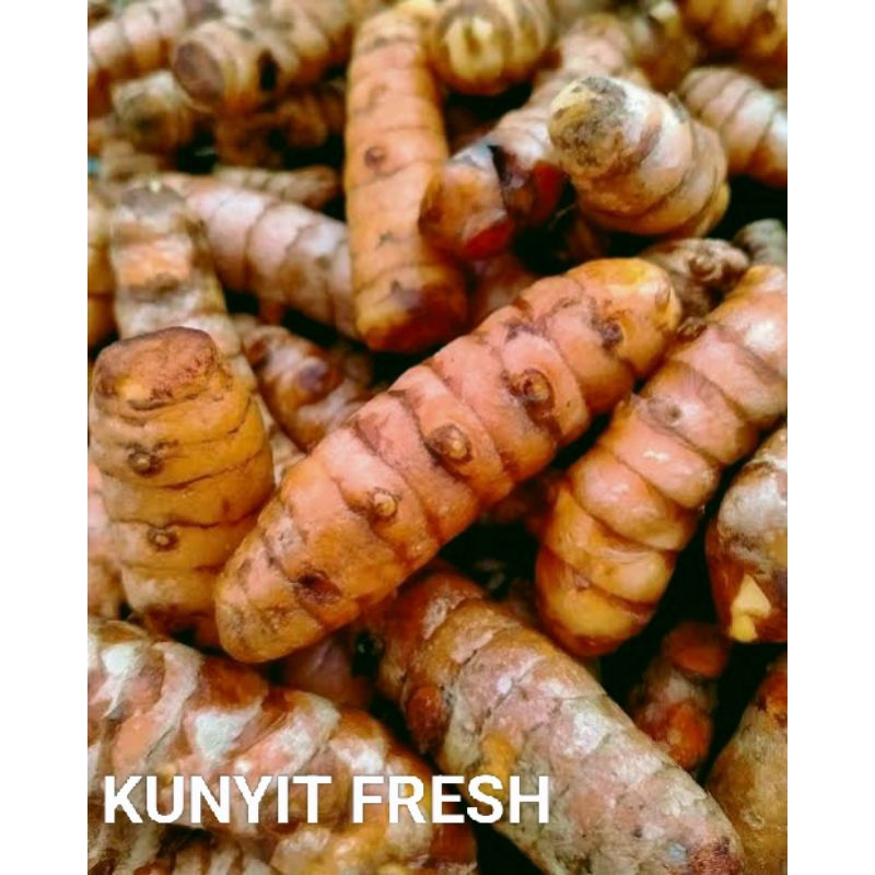 

KUNYIT JAWA SEGAR & FRESH