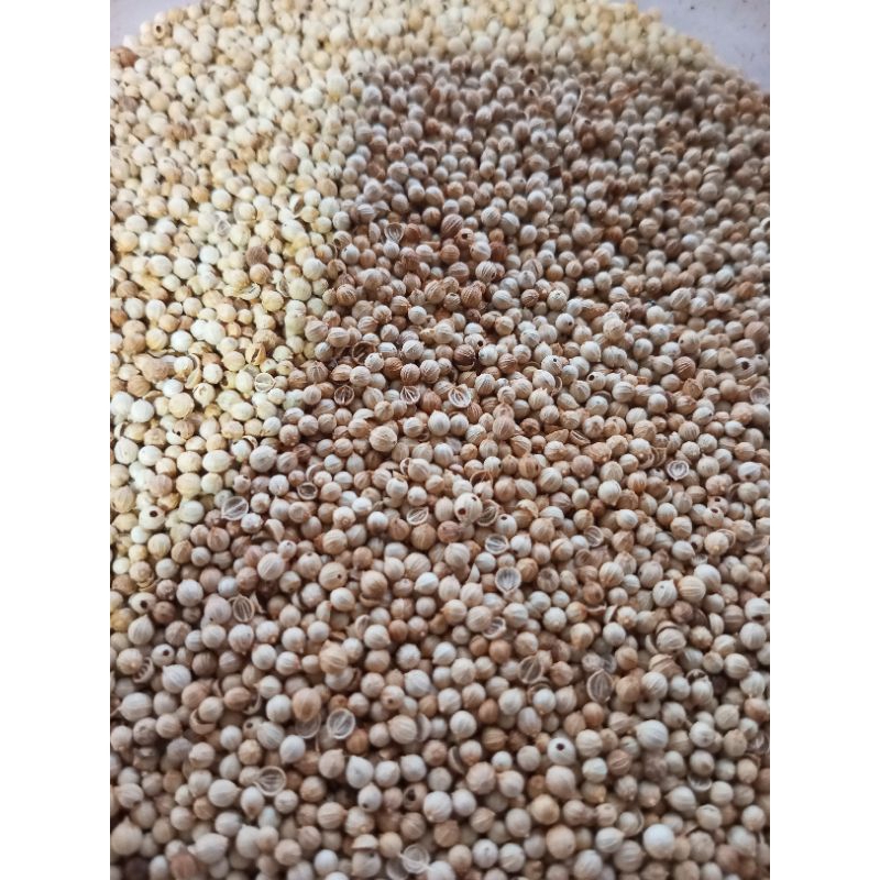 

ketumbar (100 gr)