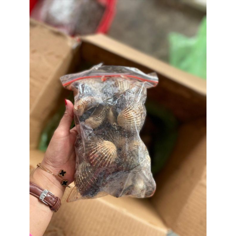 

KERANG DARA CANGKANG 1kg