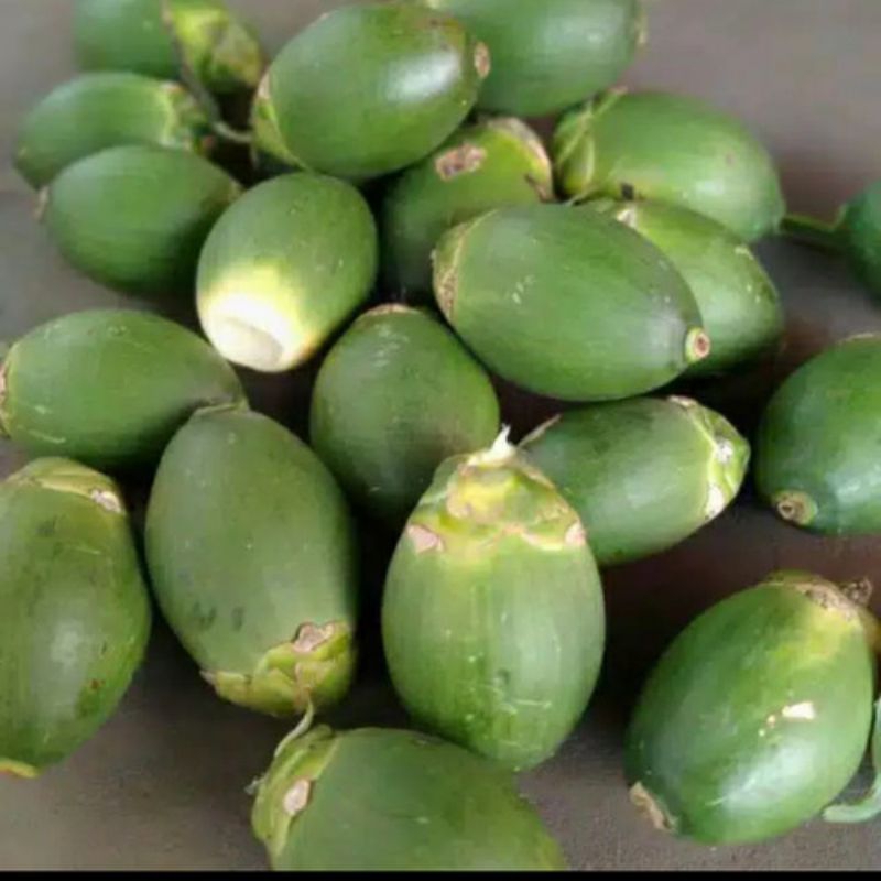 

Buah pinang mudasegar 1kg