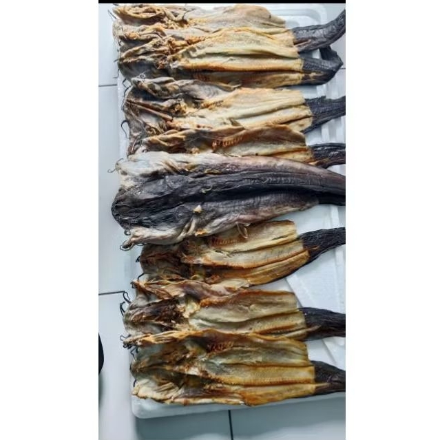 

ikan asin Sembilang