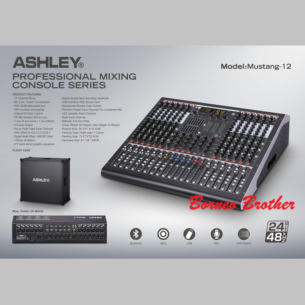 Ashley Mustang-12 Original Mixer Audio Analog 12 Channel w/ Hardcase