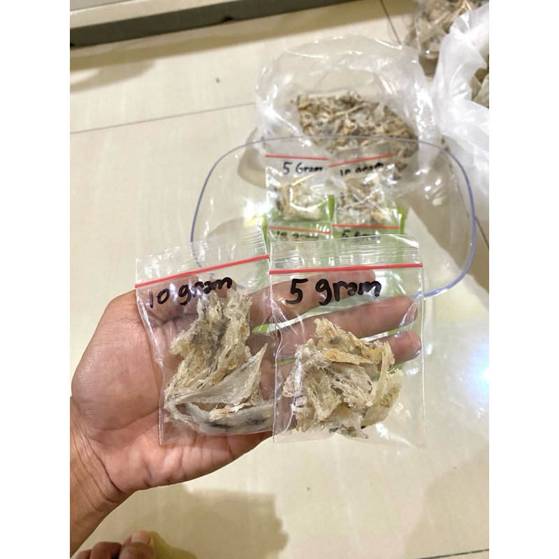 

Sarang Burung Walet HANCURAN/KAKIAN Jawa Kotor 100% Original (HARGA PER GRAM)