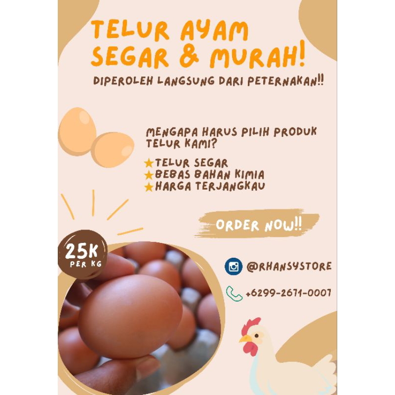 

Telur Ayam Segar