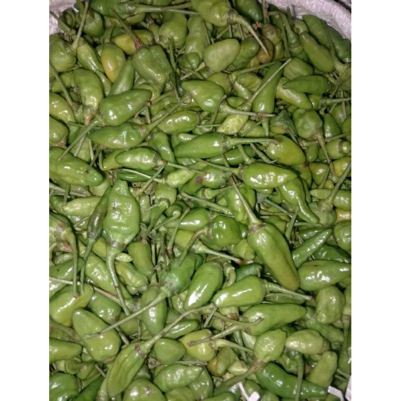 

1 kg cabe rawit