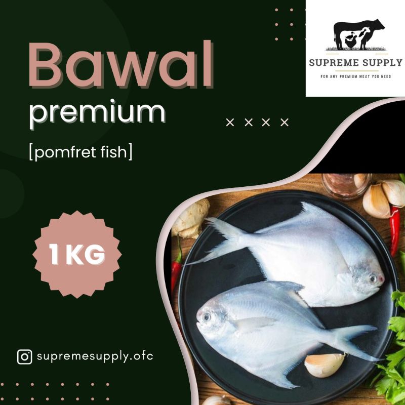 

PREMIUM Ikan Bawal 1 kg | Fresh Halal Organic Pomfret Fish Seafood Segar Frozen