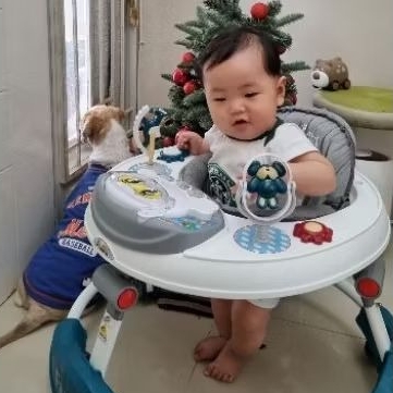 family baby walker