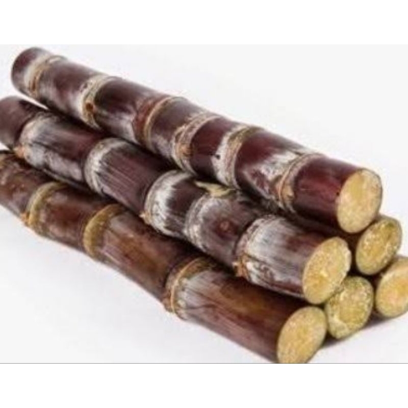 

Tebu madu tebu merah tebu manis segar 2 kg