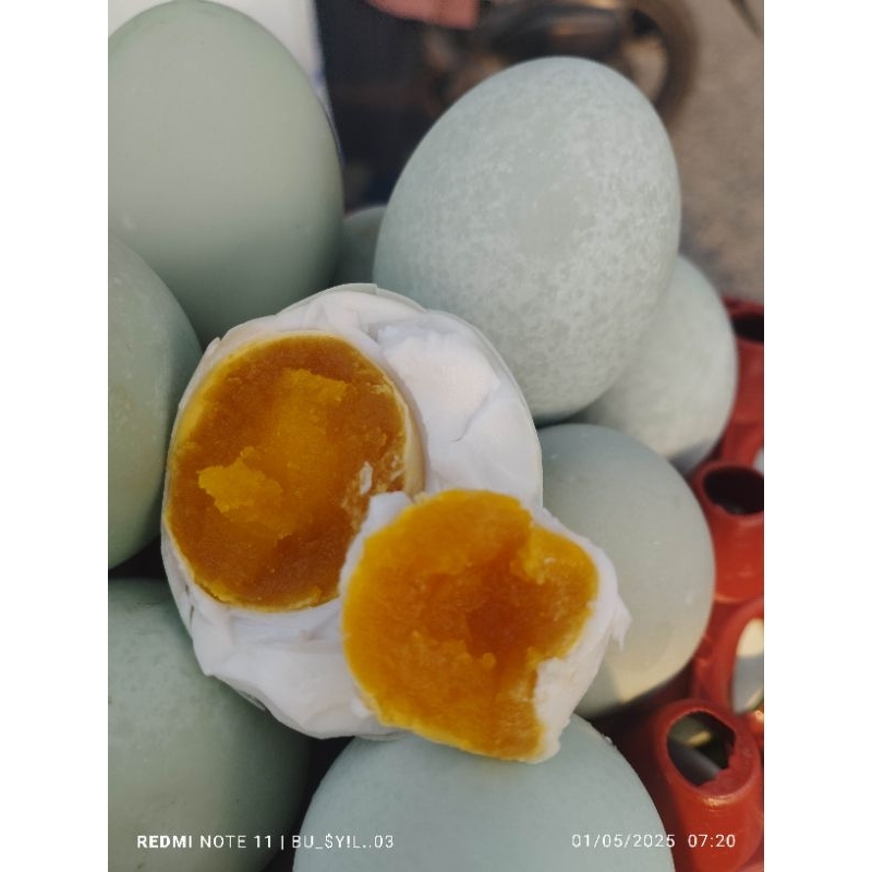 

TELUR ASIN OMEGA 3 KHAS BREBES BERMINYAK MASIR & GURIH