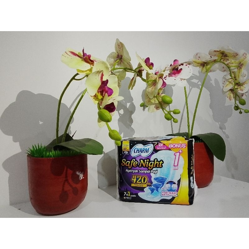 charm safe night 42CM.