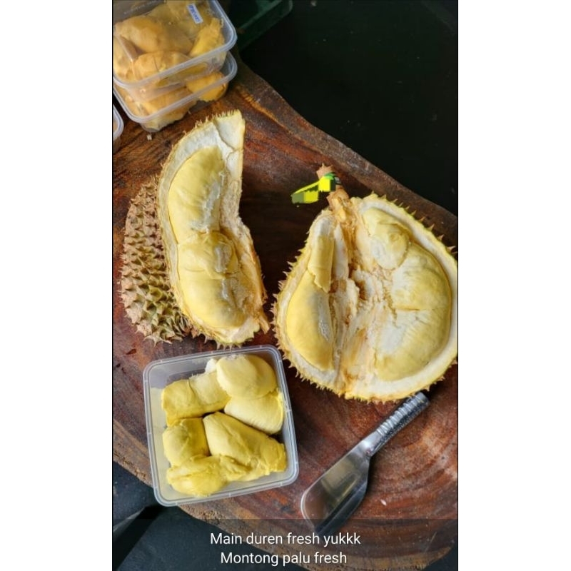 

Durian Monthong Palu fresh harga per satu kilo gram
