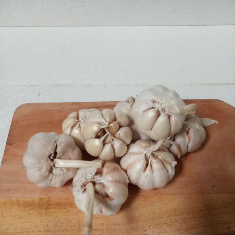 

bawang putih