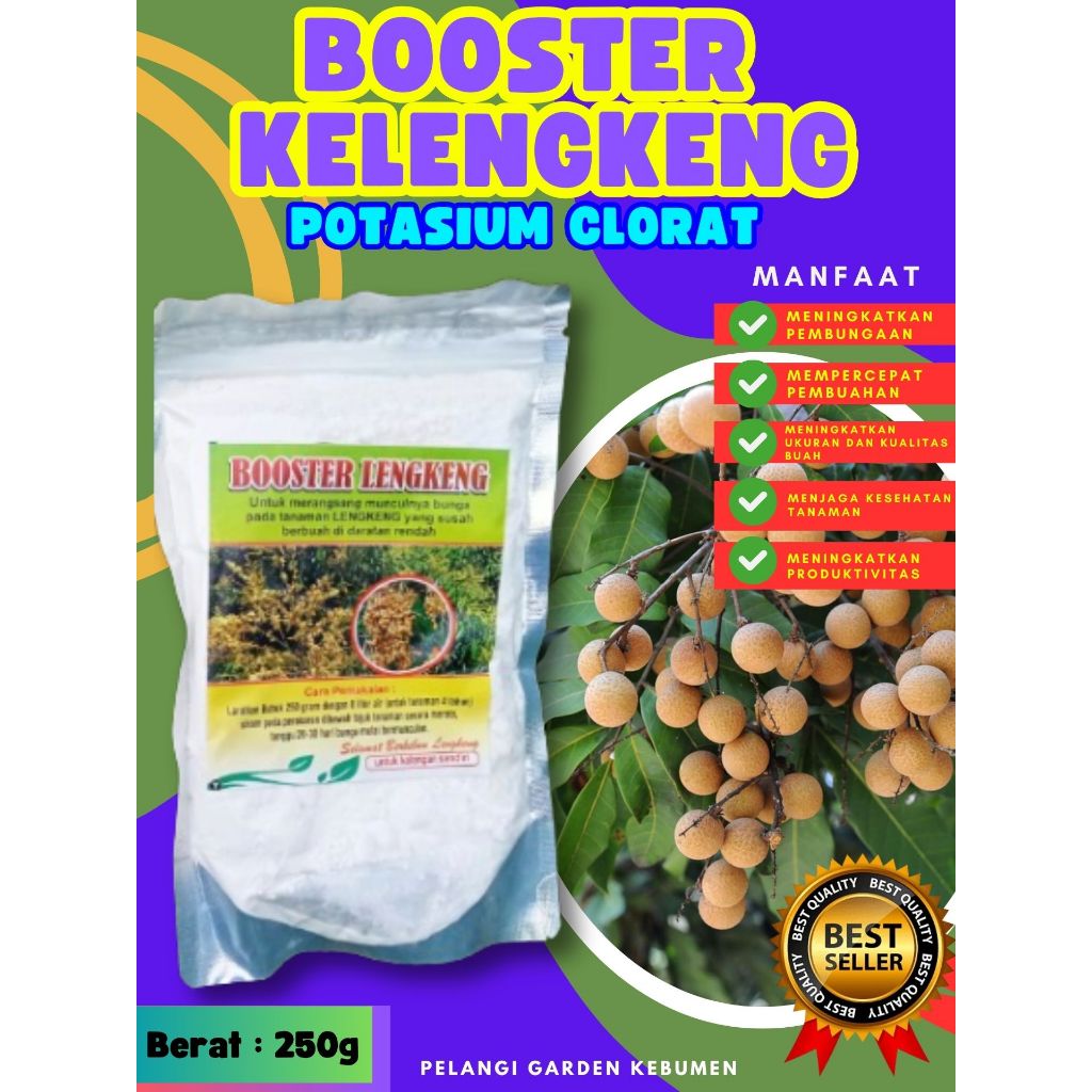 BEBAS JAMUR  Pupuk Buah Kelengkeng Kclo 3 Murni, Pupuk Buah Kelengkeng Kclo 3