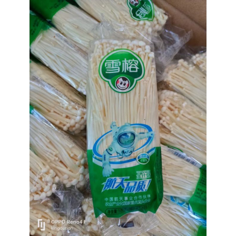 

Jamur Enoki Astronot
